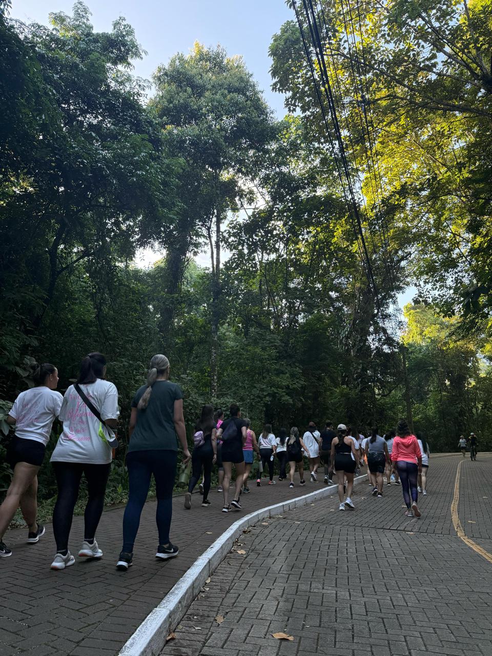 Mulheres participando de uma caminhada beneficente